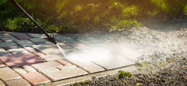Best Restaurant Pressure Washing  in Hart, MI